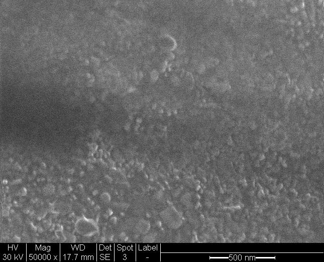 Microstructure Titanium Alloy Plasma Nitrided with Cascade e-Ion GoldenBlue Microstructure Titanium Alloy Plasma Nitrided with Cascade e-Ion GoldenBlue(TM)